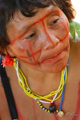 Yanomamis 