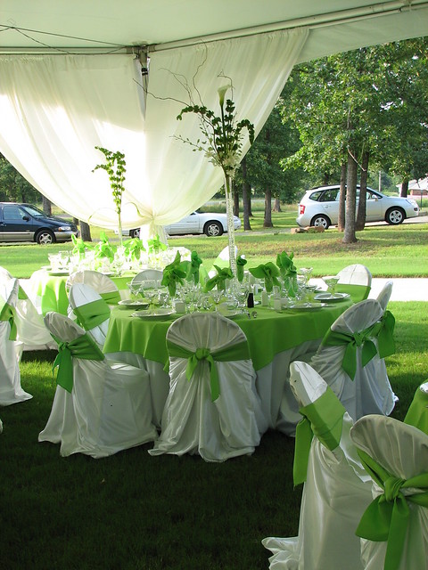 Wedding decorations Under the Canopy 5