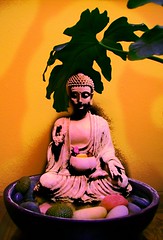 Buddha, variations