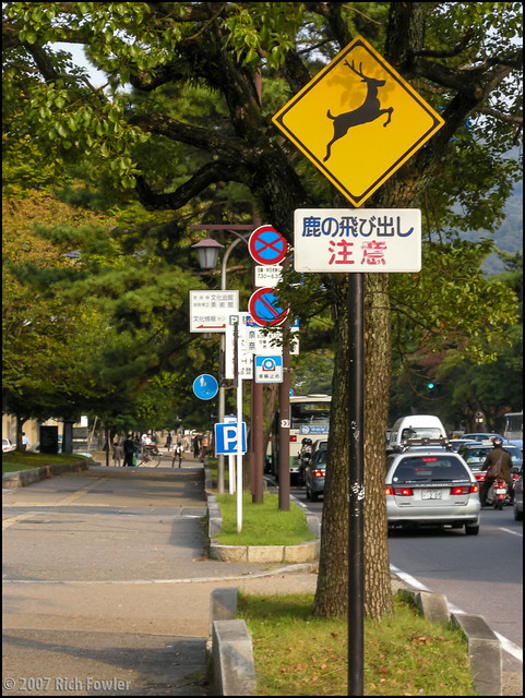Deer Warning Sign