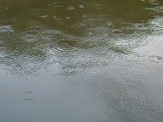 Rain ripples with landscape reflection