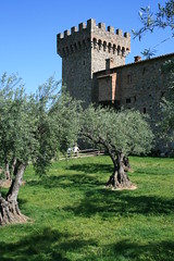 Castello de Omarosa