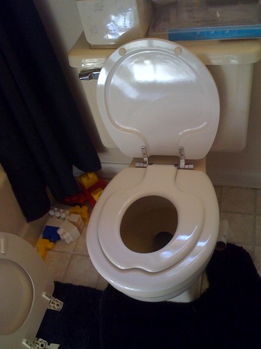 Alyssa's new toilet seat