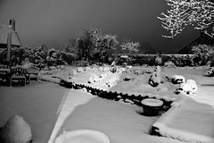 2009 Somerset Snow