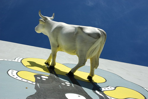 Life sized cow, walking up the wall, shadow, fine art sculpture, bienal international de escultura,  Zona Centro, Guadalajara, Jalisco, Mexico by Wonderlane
