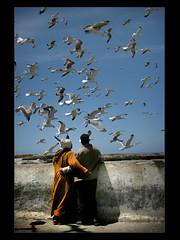 i pescatori di Essaouira
