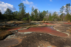 Heggies Rock, The Nature Conservancy Preserve, Georgia
