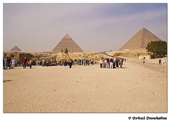Egipto  2008