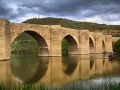Puente de Briñas-La Rioja. Mayo 2010