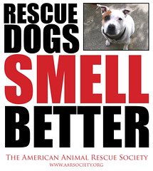 american animal rescue society