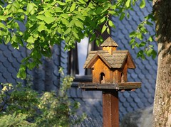 Birds. - Bird houses, bird-feeders.