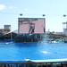 Nagoya Aquarium with Marino 2010 023