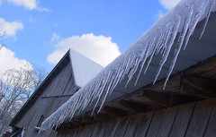 Ice Storm Jan 2009