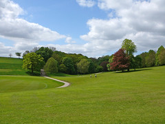 Roundhay Park