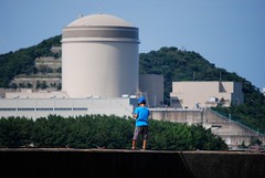 Mihama Nuclear Plant