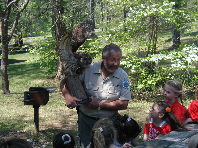 Nature hikes are a big part of the Junior Ranger program.