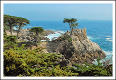 Monterey Peninsula - 2010