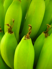 Banana world