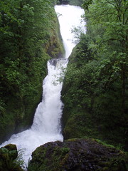 Oregon 2007/2008