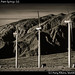 Wind power, Palm Springs (2)