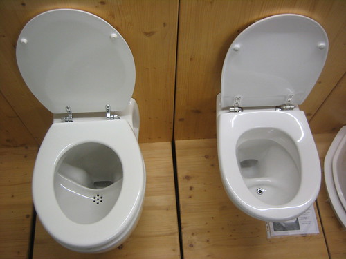 Urine-diversion flush toilets by Sustainable sanitation