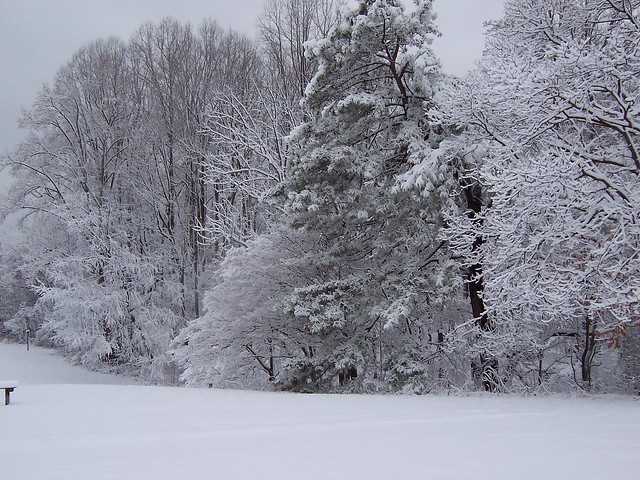 Caledon State Park in the winter