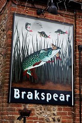 Oxfordshire Pub Signs