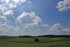 What a beautiful day-Bavaria today —digital cat (Flickr.com)