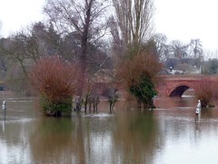 Clifton Hampden (Thames in Flood)