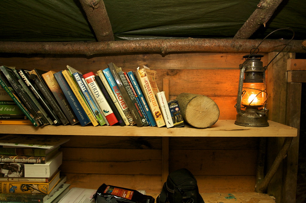 Treehouse Life - the bookshelf