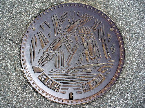 Nagano city,Nagano pref manhole cover（長野県長野市のマンホール）