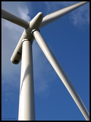 Whitelee windfarm