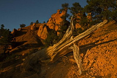 2008 - USA - Bryce Canyon