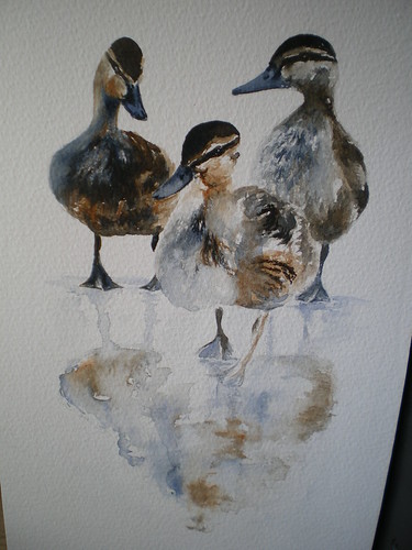 ducklings - finished!