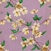 Vintage gift wrap - dogwood branches