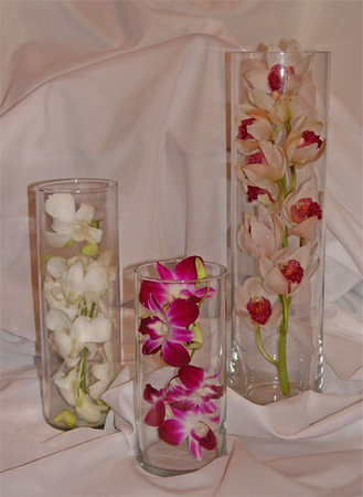 stem of orchids makes an elegant centerpiece Wedding at the Scottish