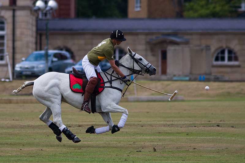 Cavalry polo (William Wales)