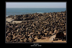 Namibia - Skeleton Coast