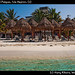 Beach chairs and Palapas, Isla Mujeres (2)