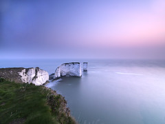 OLD HARRY