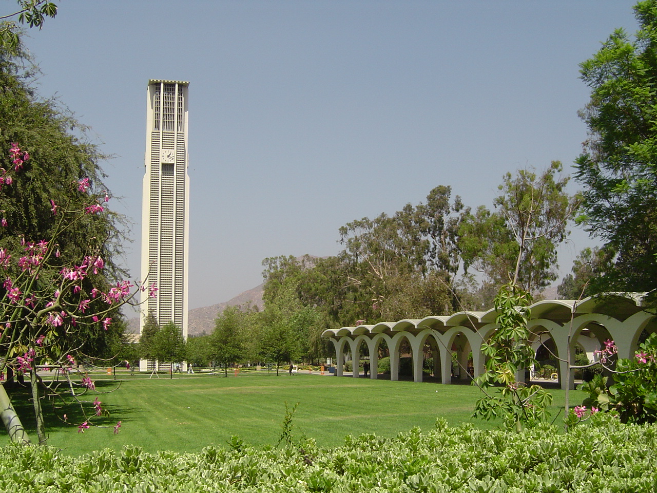 UC Riverside Campus. Courtesy of Marc Buehler/Flickr.