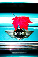 MINI in the Mountains V