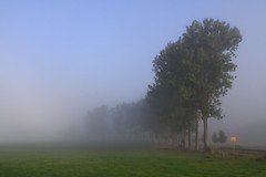 Mist (1)