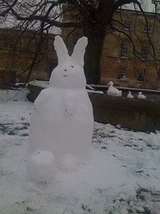Snow Bunny von OUFC_Gav