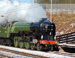 Steam Trains, Traction Engines and Other Steam Vehicles