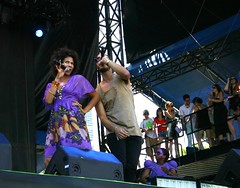 Lollapalooza, 2008