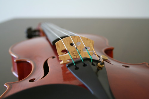 My Violin 20091107