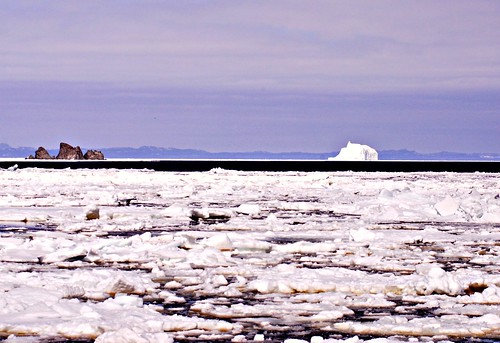 Iceberg with Shag Rock, Spring 2009