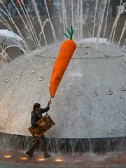 Follow The Carrot