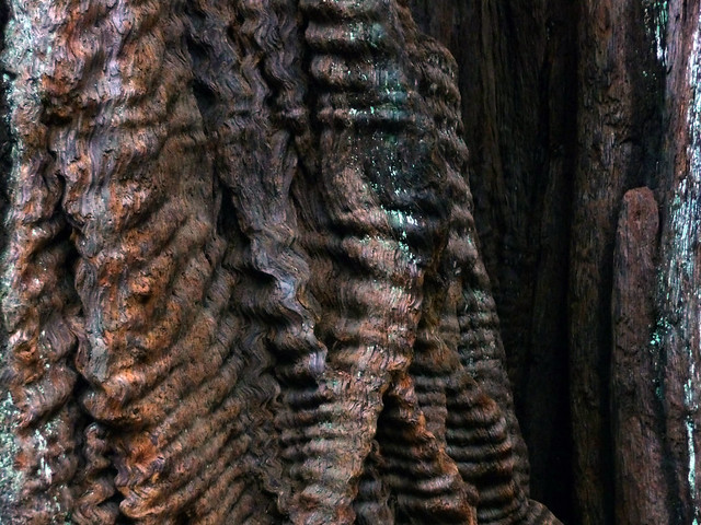 Wooden Mermaid's Braided Hair This is a tree trunk but it looks like my 